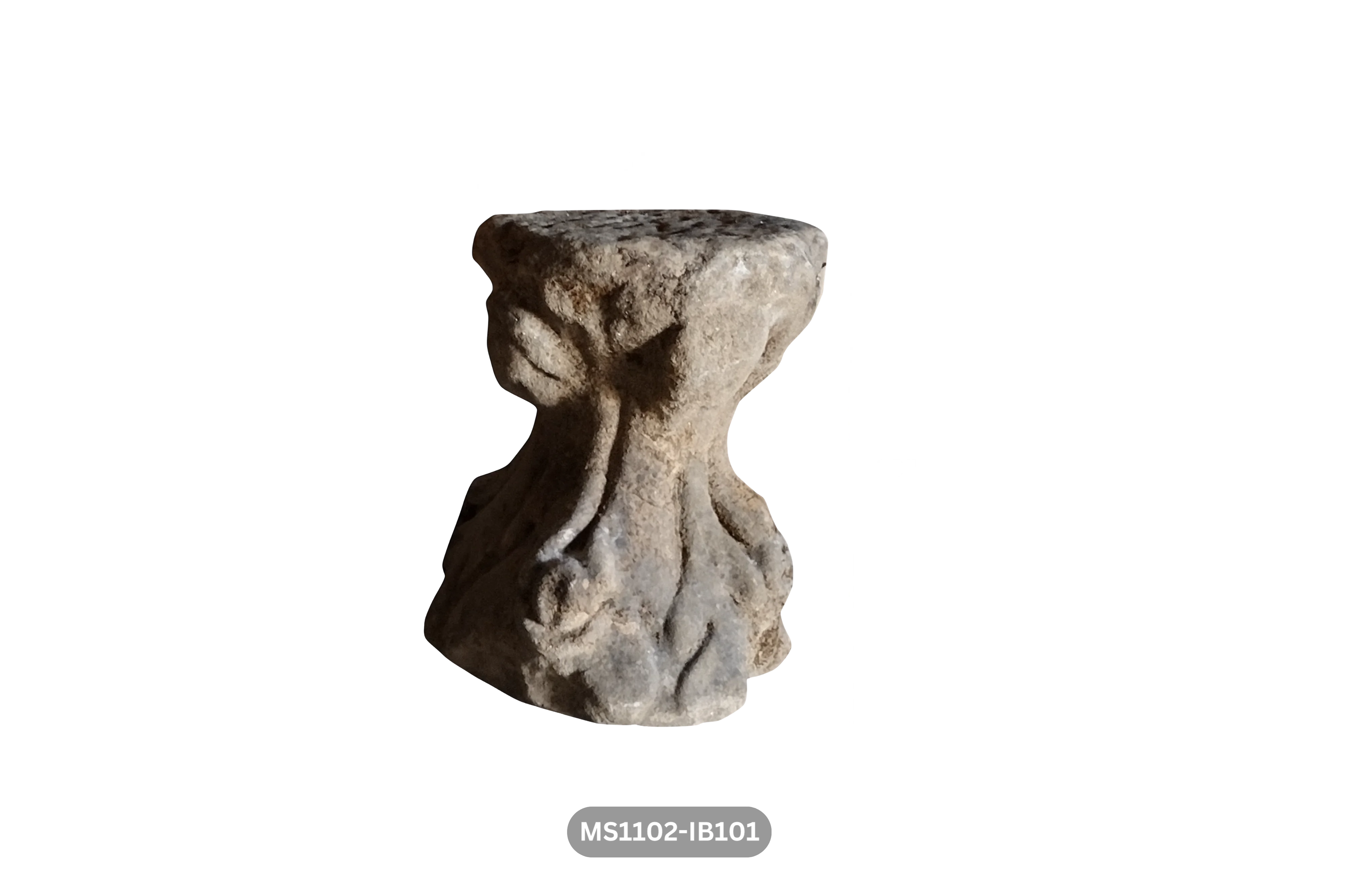 MS1102-IB101 - Image 3